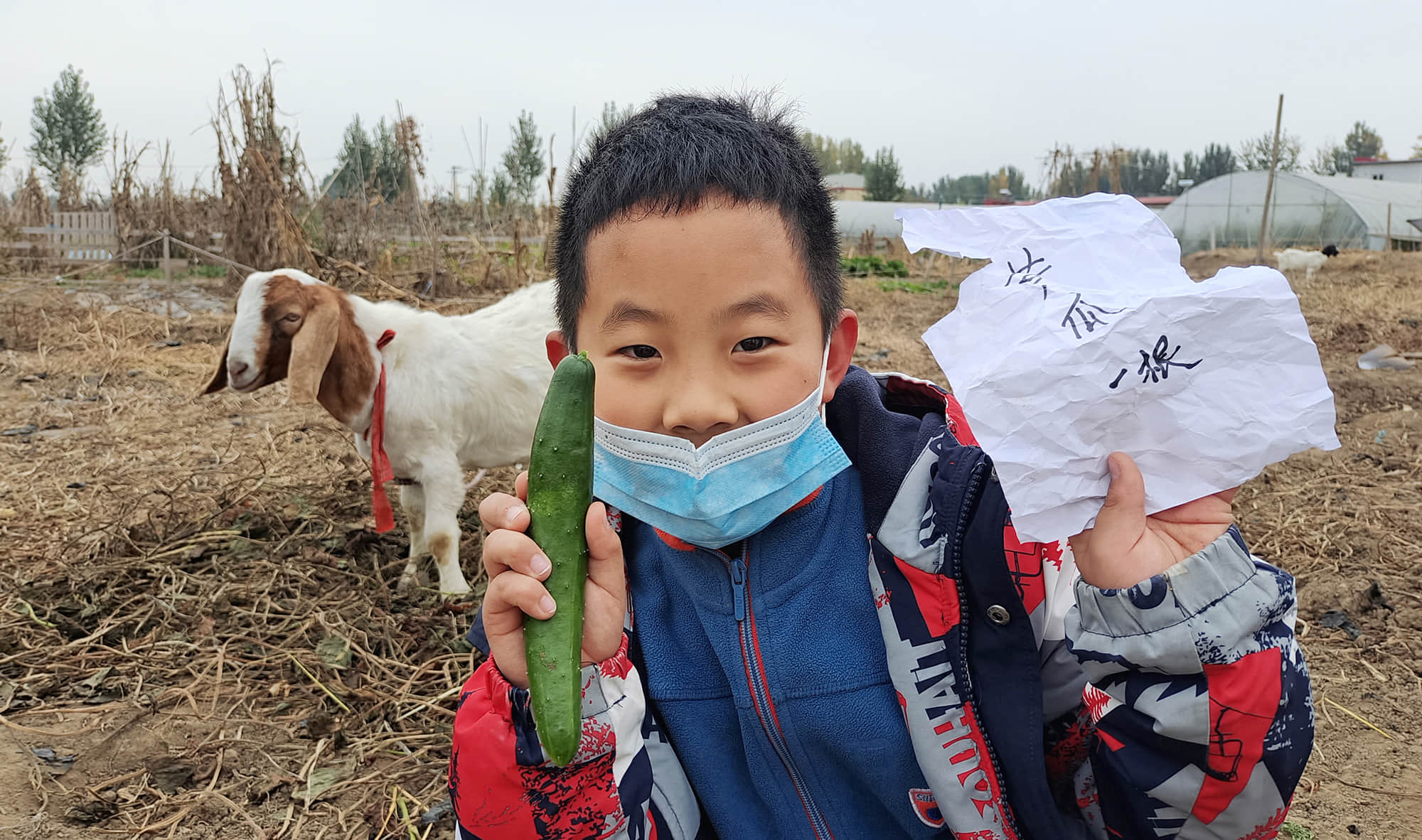 1k65VmDw4TAqBuNtpJwM2KNDf8