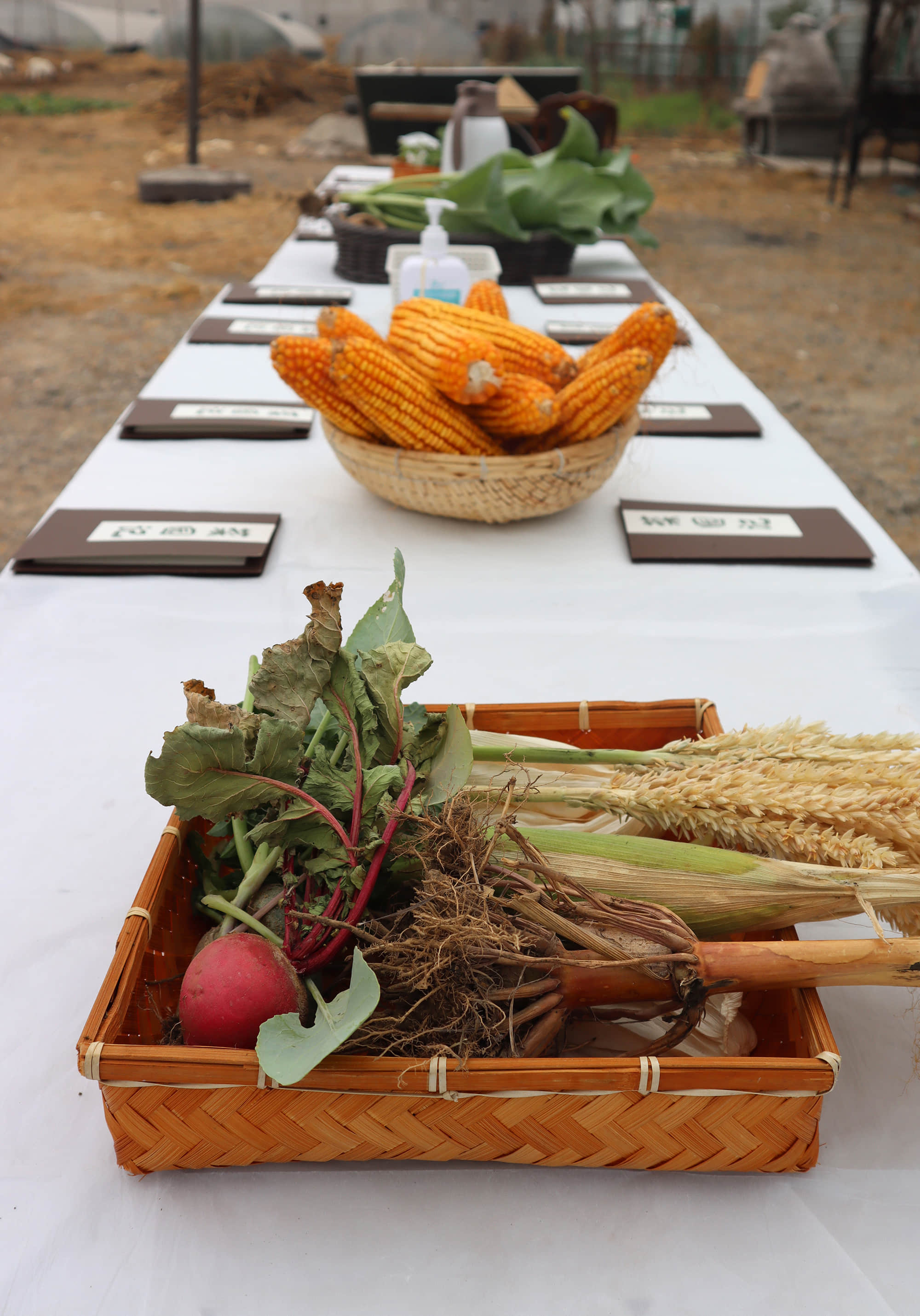 6ELwFNi3QC1rZ0D86Vcie5yZSE