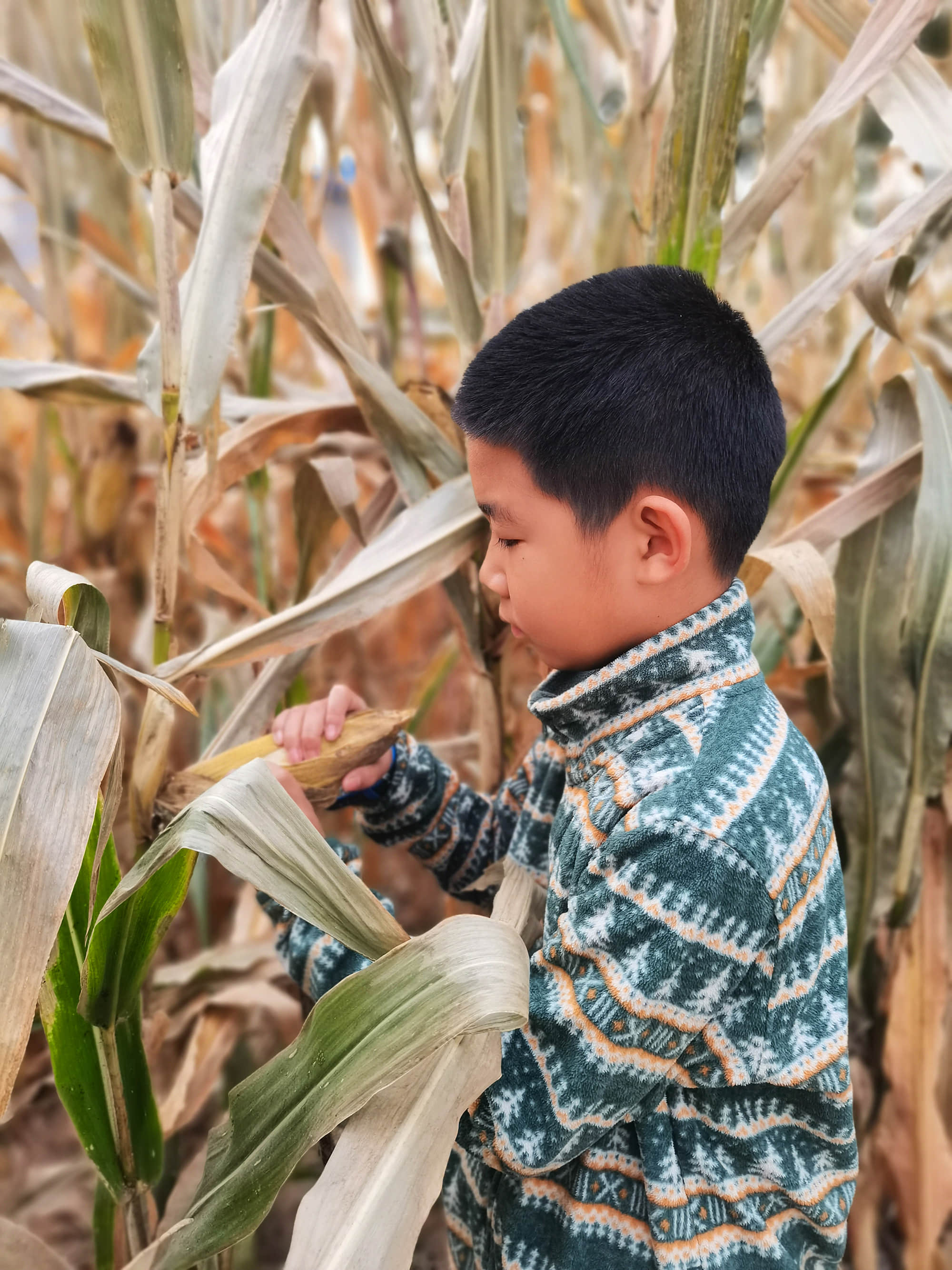 jSacHY4drKOxuK0BueftEsGDr0I