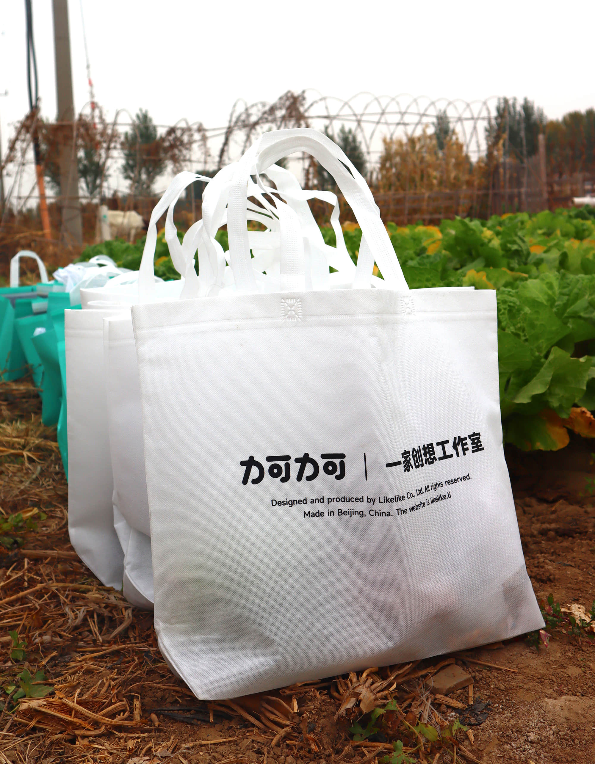 RTaGdw4G3W6wZQEhQyE8YcLLwU