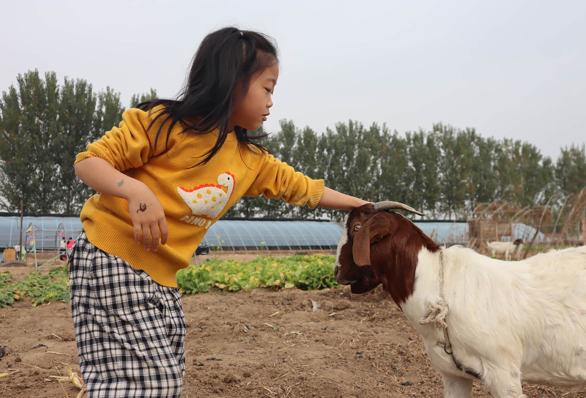 WpnRLUfEKJ6kJOA3ISU6QmzlJt4