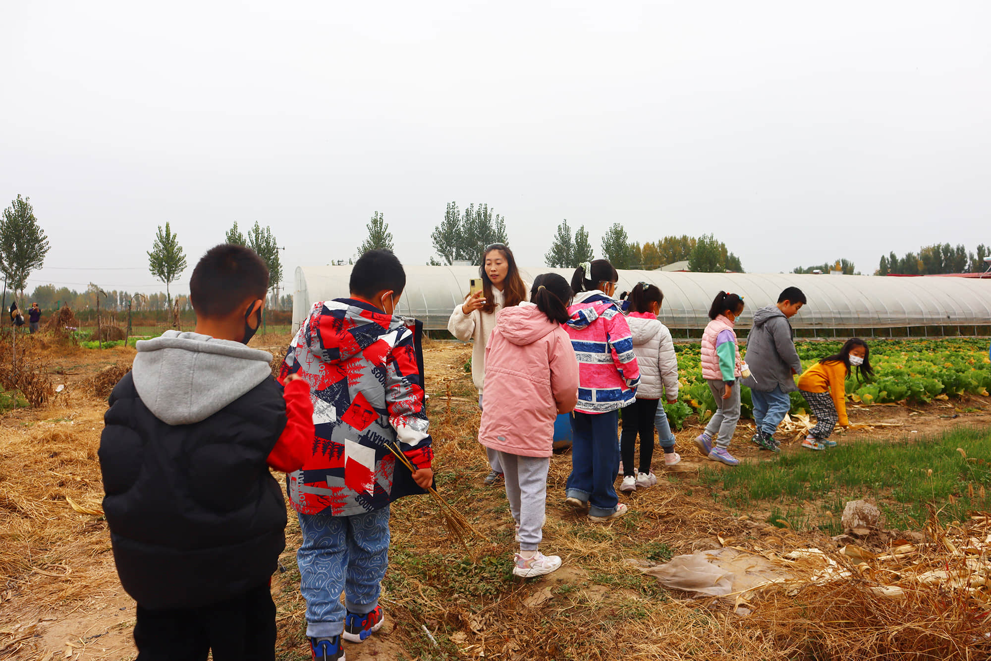 mbsMie8zy4HIP6osc89zXa6WXIk