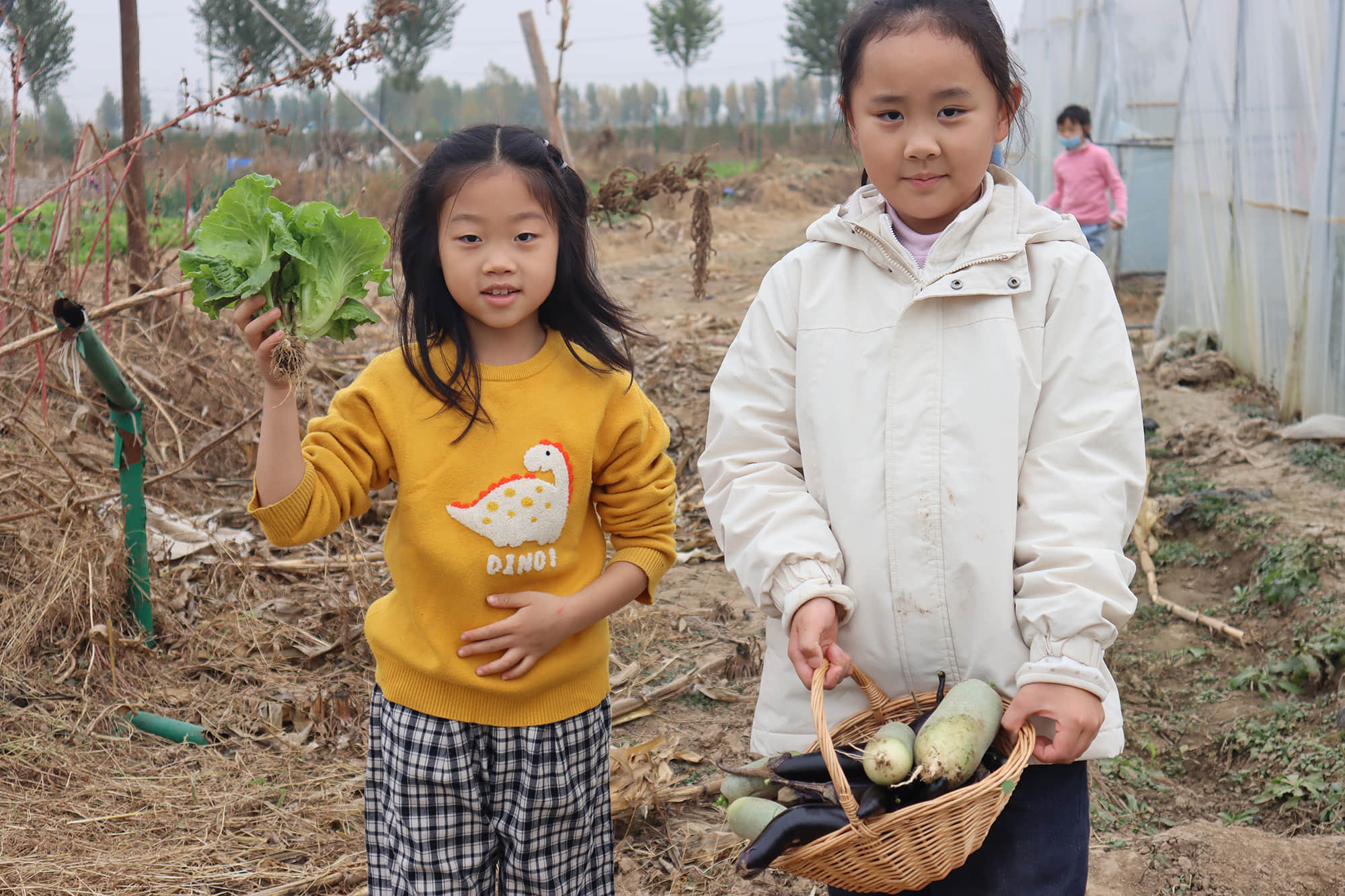 qty72sHozntVYGS5AWzduEvlkA